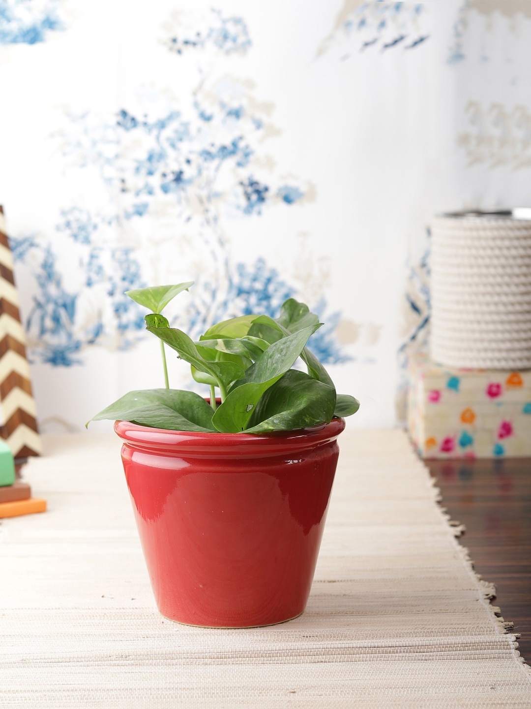 

VarEesha Set of 2 Red Cylindrical Ceramic Planter