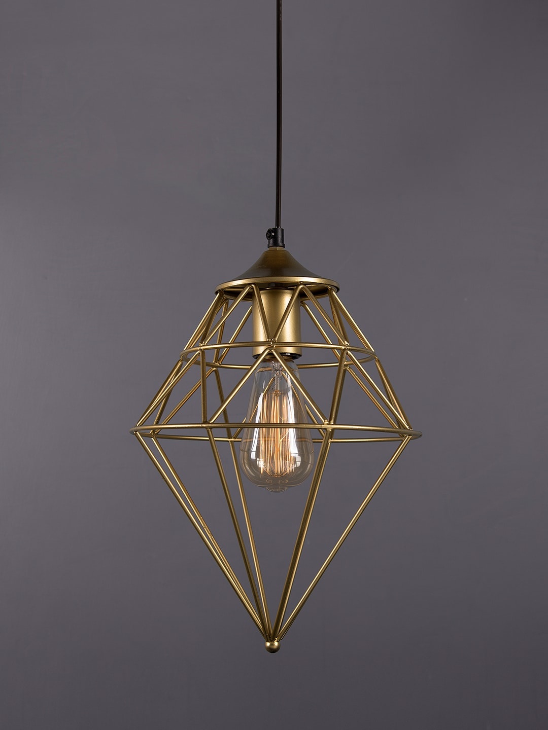 

Homesake Gold-Toned Solid Pendent Light
