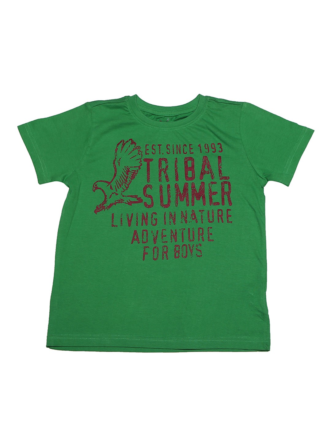 

Allen Solly Junior Boys Green Printed Round Neck Pure Cotton T-shirt