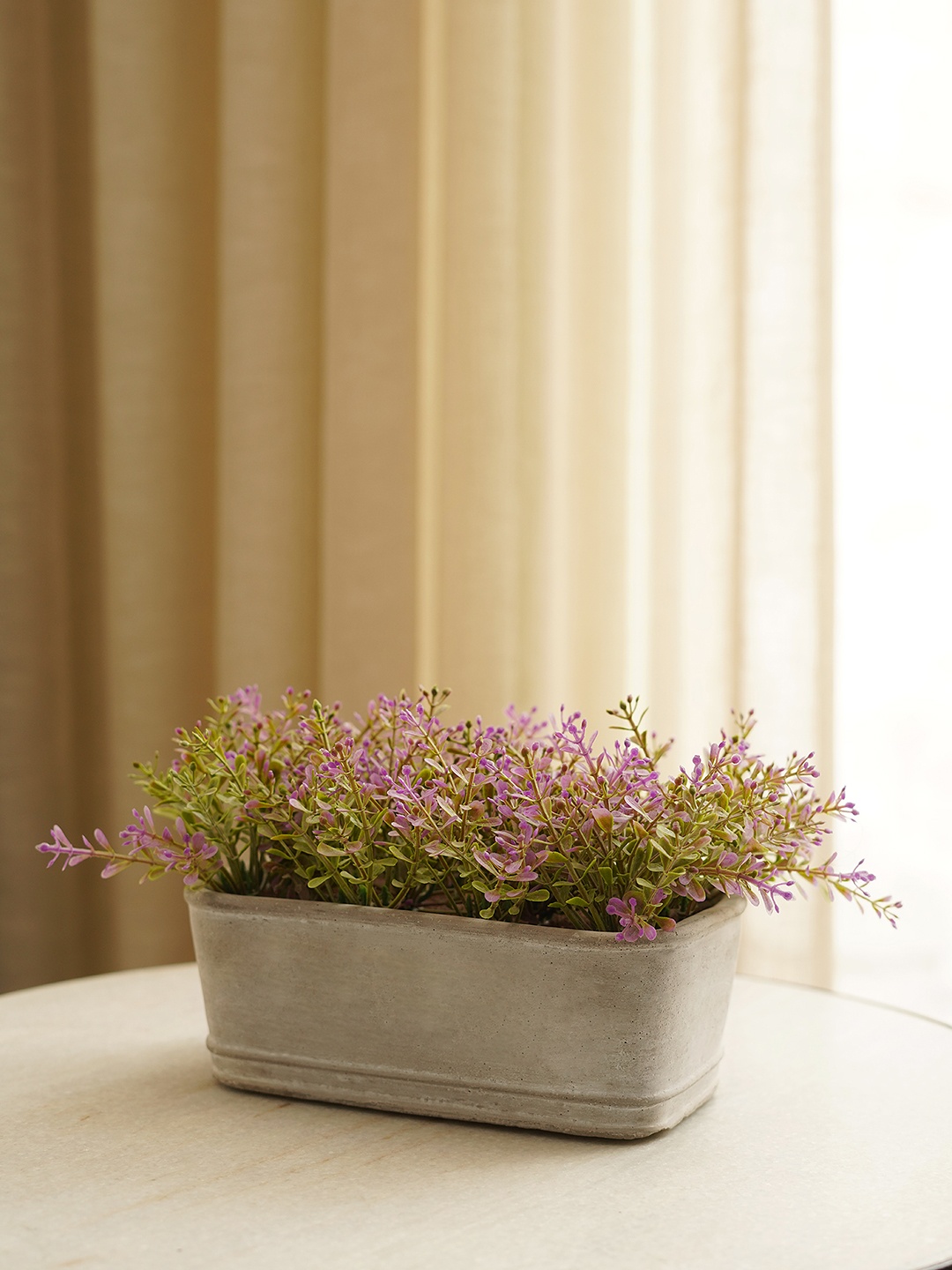 

Pure Home and Living Purple & Green Artificial Plant With Pot