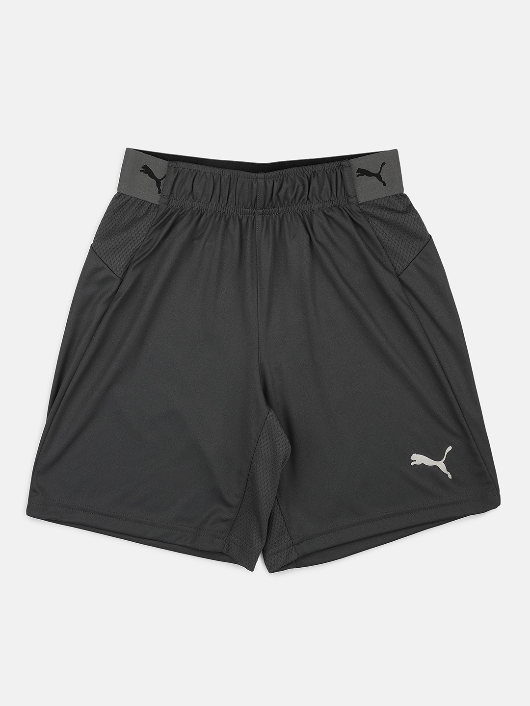 

Puma Boys Charcoal Grey Solid Regular Fit Sports Shorts