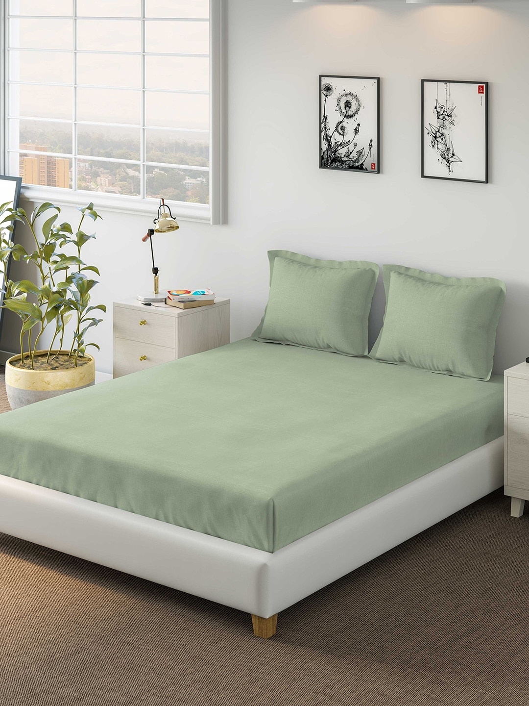

DDecor Green Solid 150 TC Cotton 1 Queen Bedsheet with 2 Pillow Covers