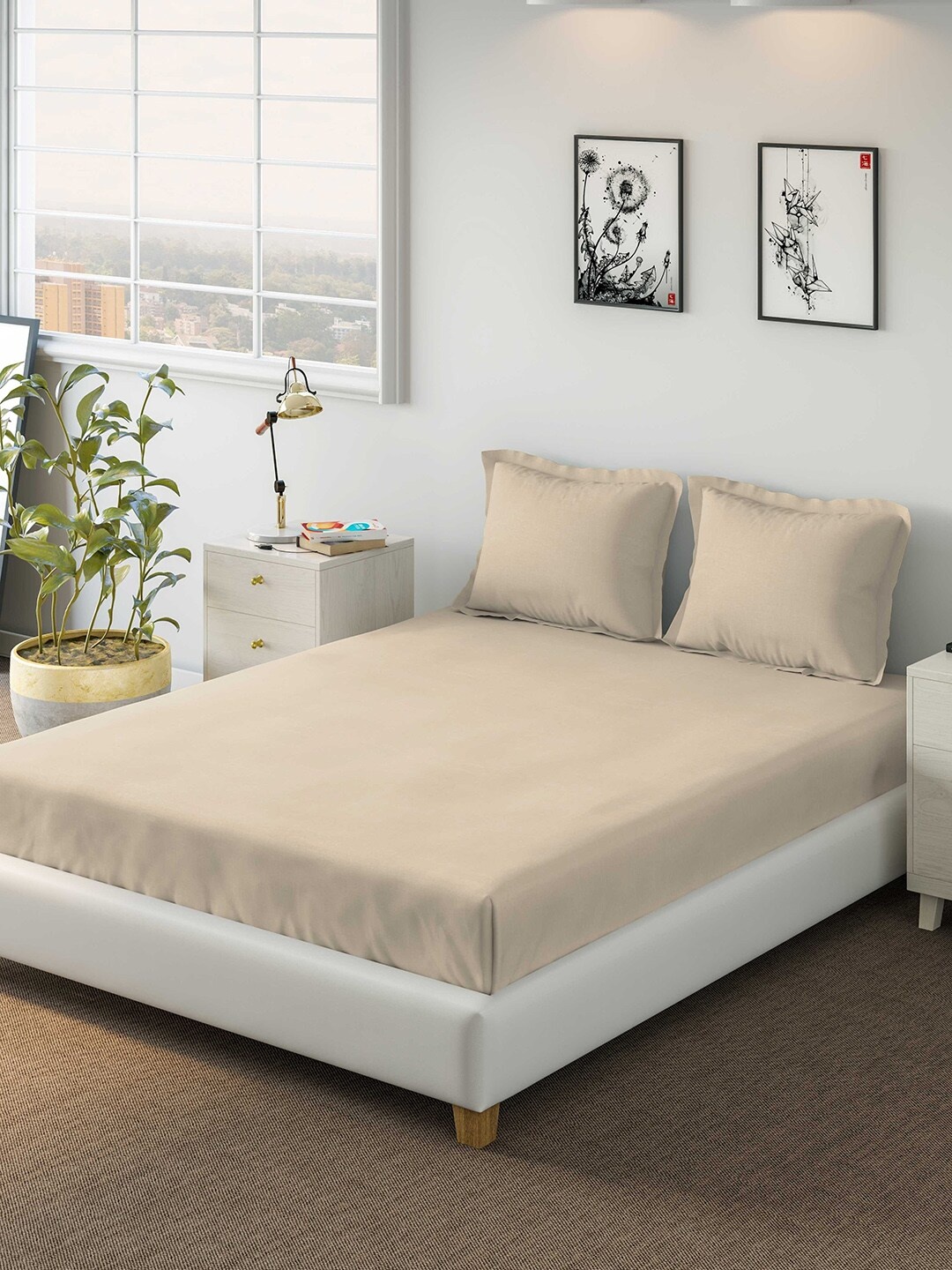 

DDecor Beige Solid 150 TC Cotton 1 King Bedsheet with 2 Pillow Covers