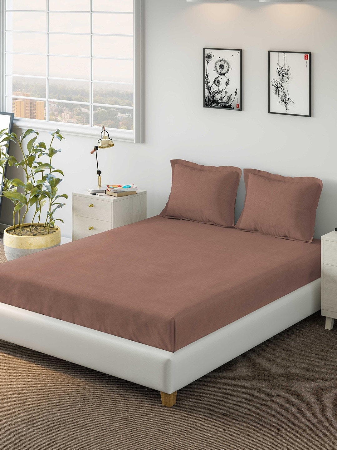 

DDecor Brown Solid 150 TC Cotton 1 King Bedsheet with 2 Pillow Covers