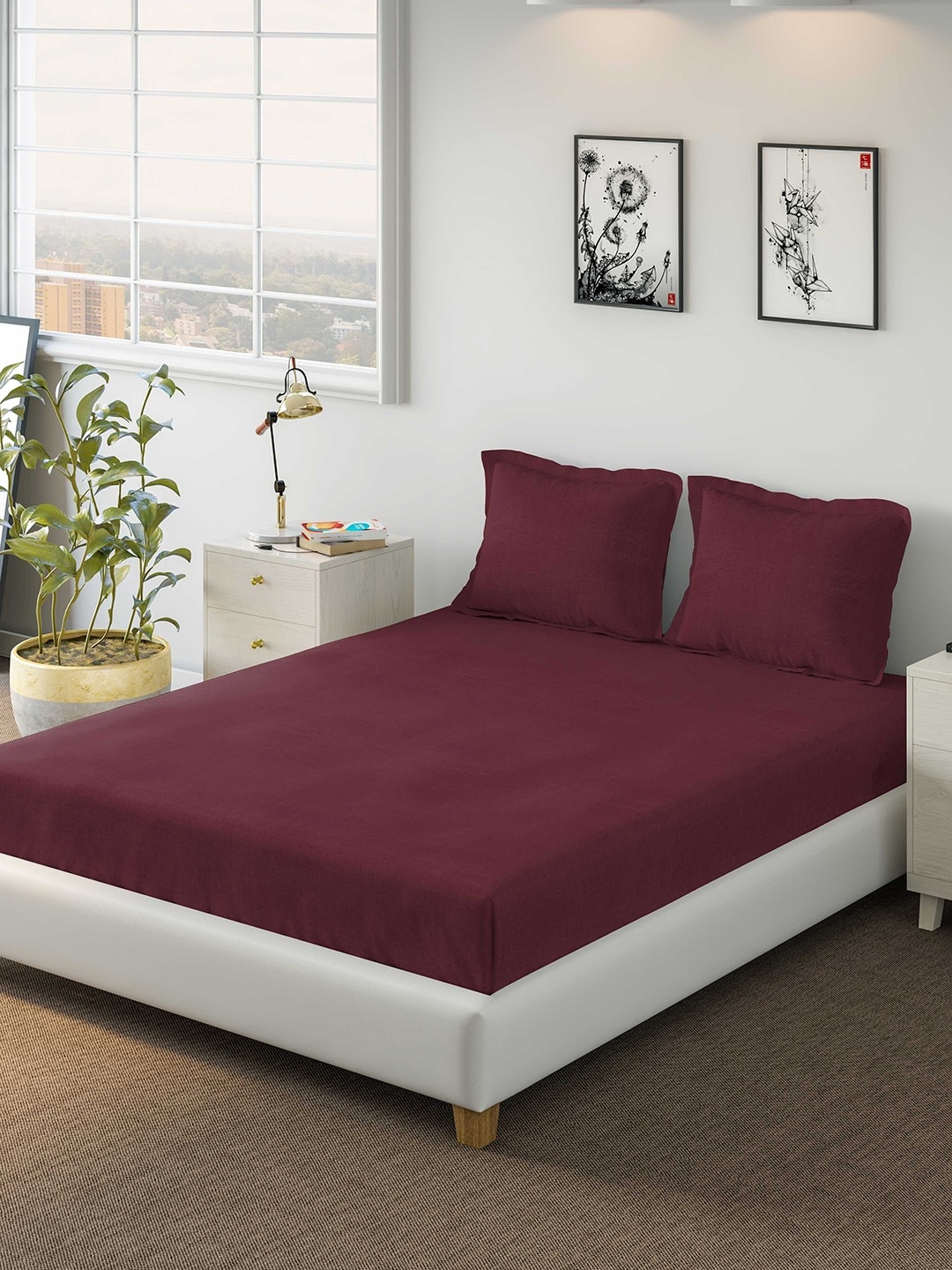 

DDecor Red Solid 150 TC Cotton 1 Queen Bedsheet with 2 Pillow Covers