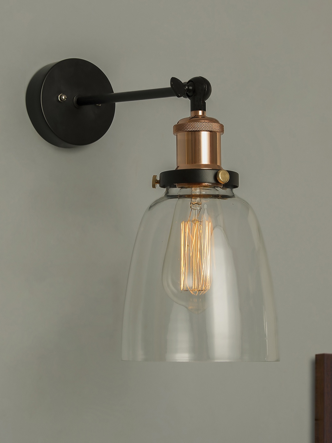 

Homesake Black & Transparent Industrial Glass Bell Wall Lamp