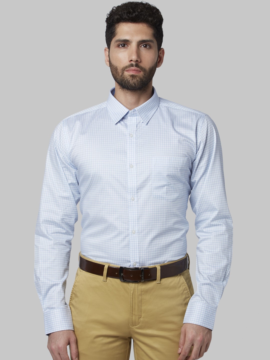 

Park Avenue Men Blue Slim Fit Checked Formal Shirt