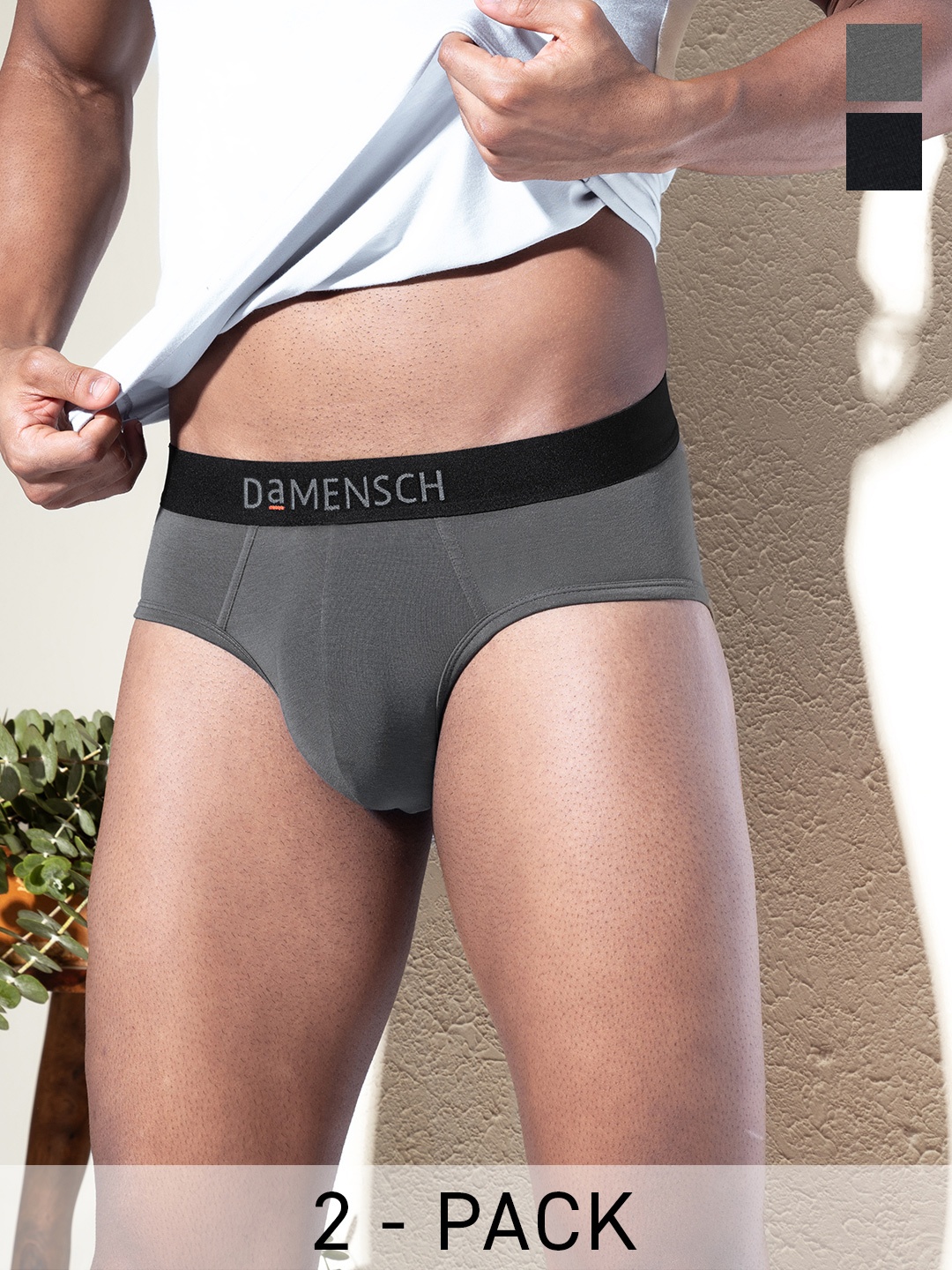 

DaMENSCH Pack of 2 DEO-SOFT Solid Premium Egyptian Cotton-Modal Blend Briefs, Grey