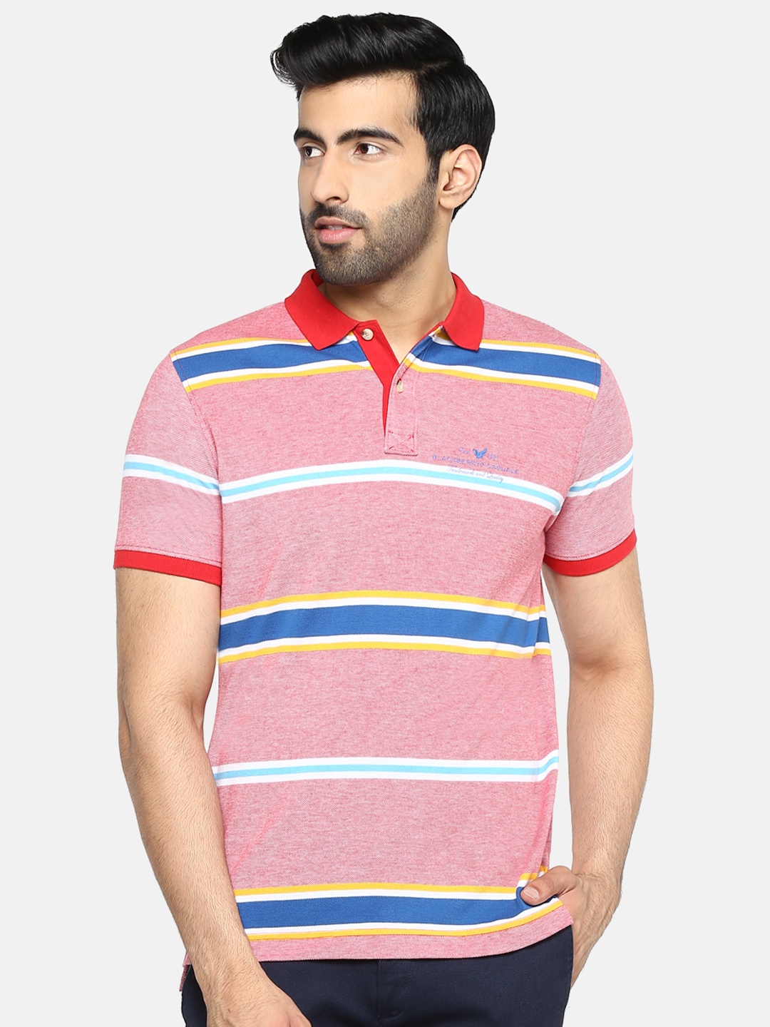 

Blackberrys Men Pink & Blue Striped Polo Collar T-shirt