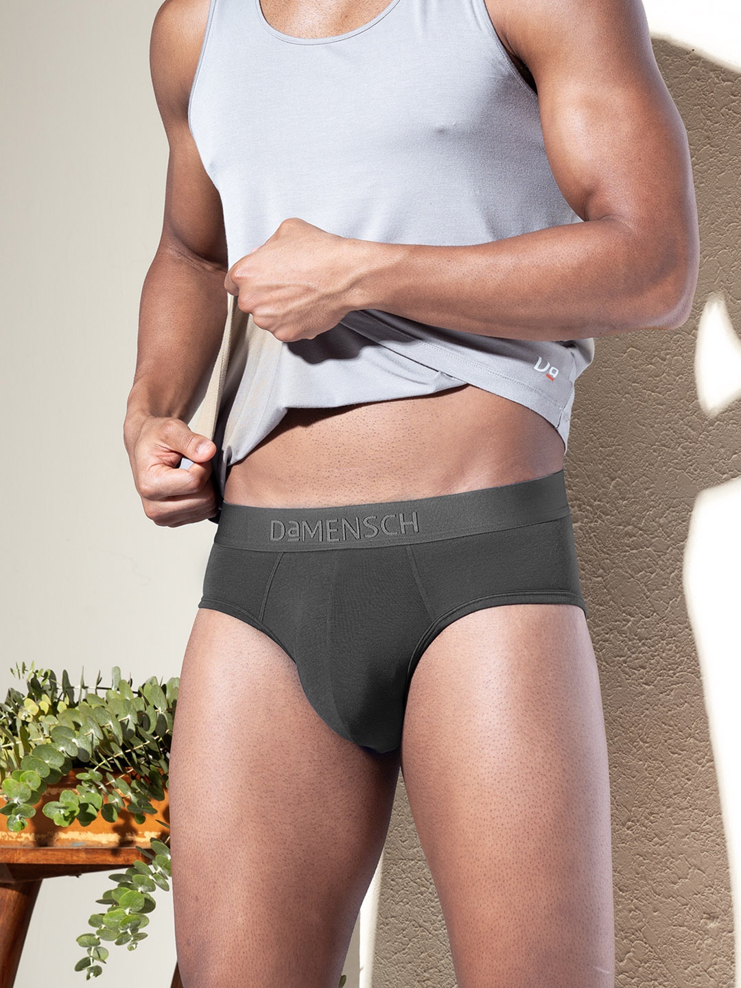 

DaMENSCH DEO-SOFT Solid Premium Egyptian Cotton-Modal Blend Briefs, Grey