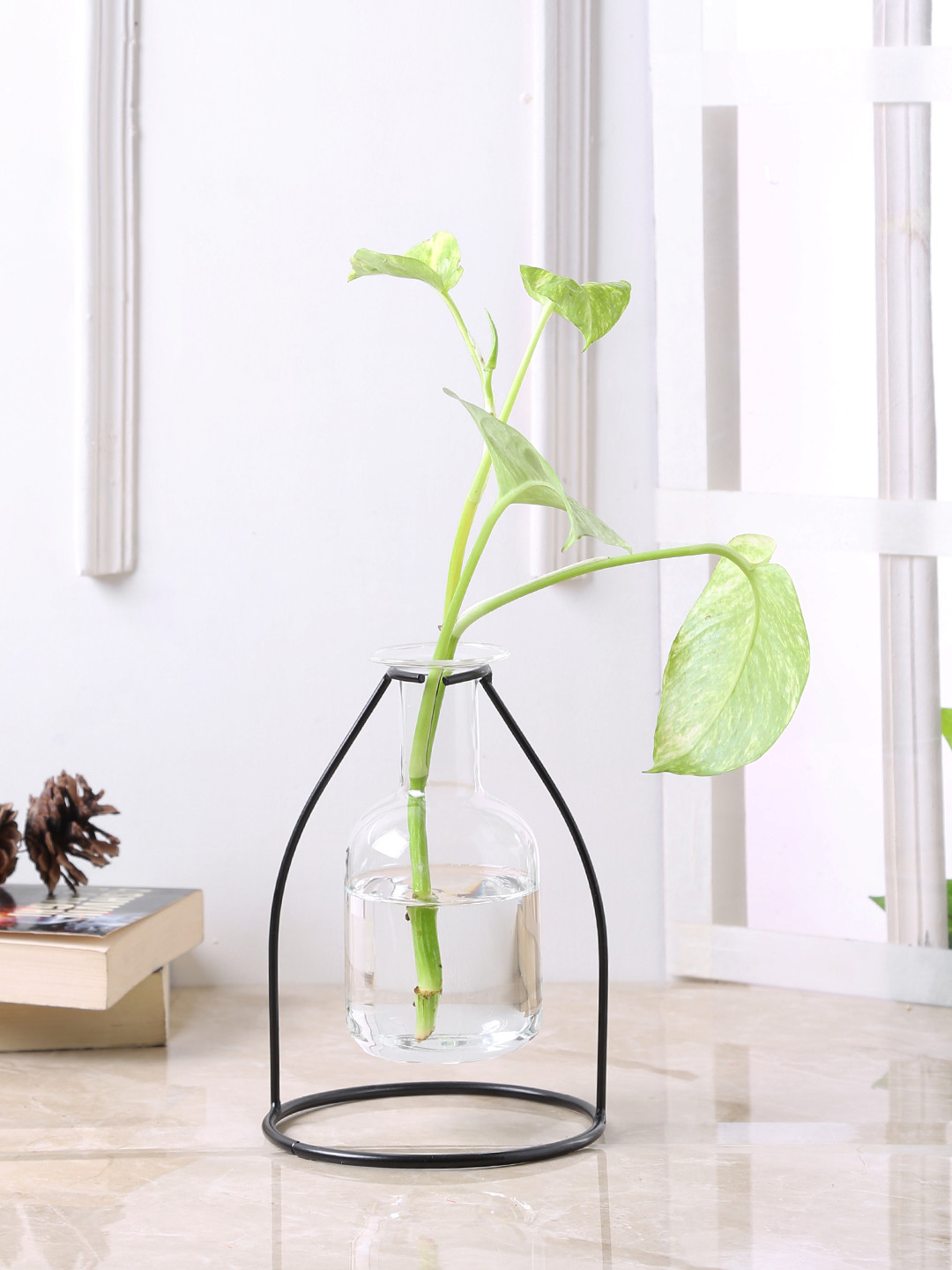 

TAYHAA Transparent Glass Flower Vase