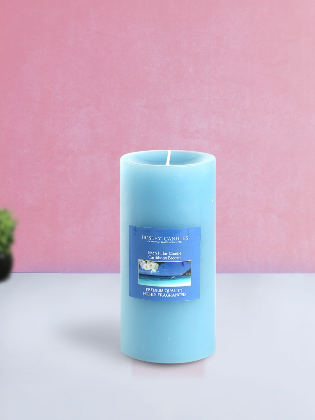 

HOSLEY Set of 3 Blue Candles