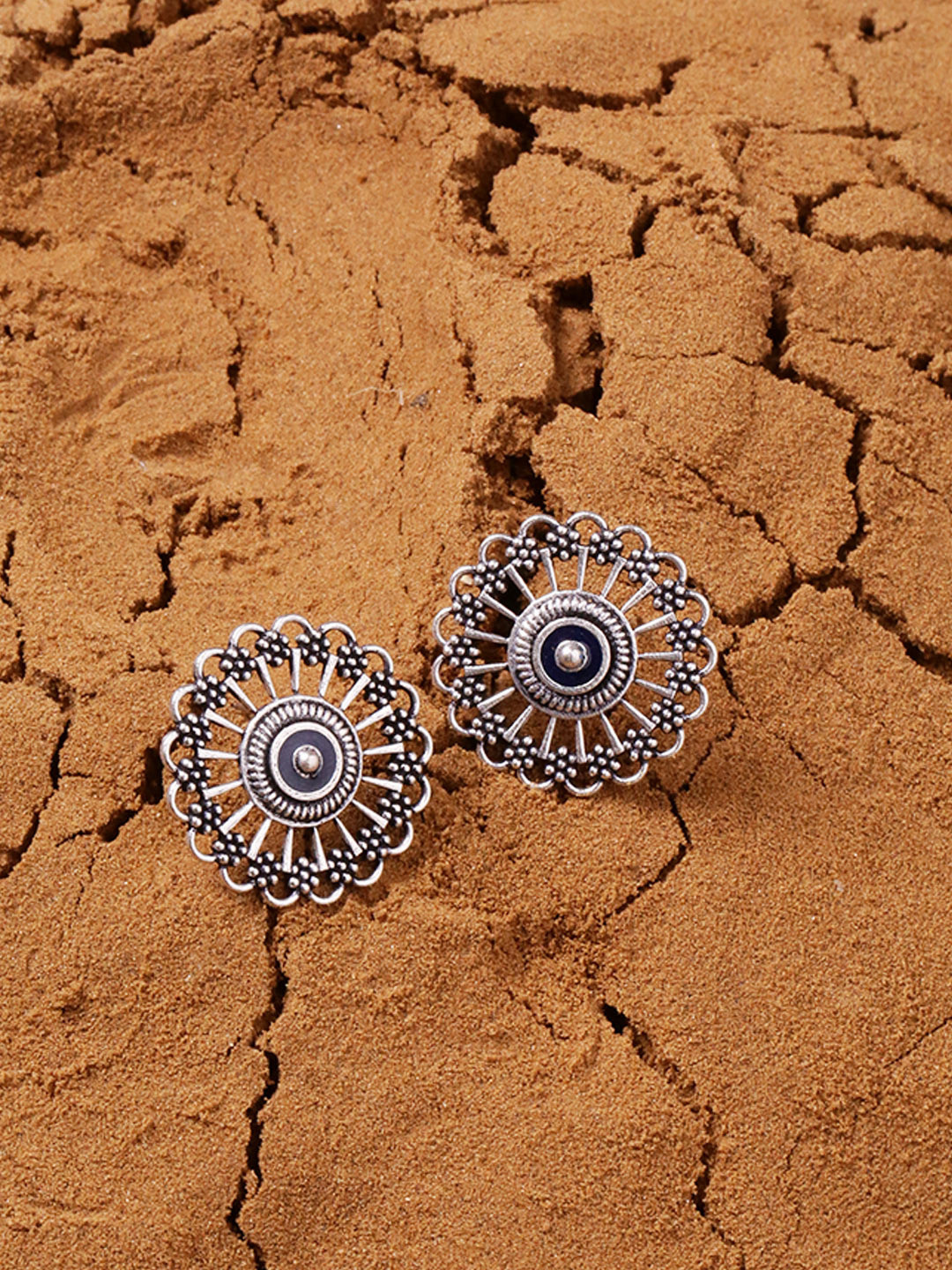 

Voylla Silver-Plated & Black Oxidised Circular Studs