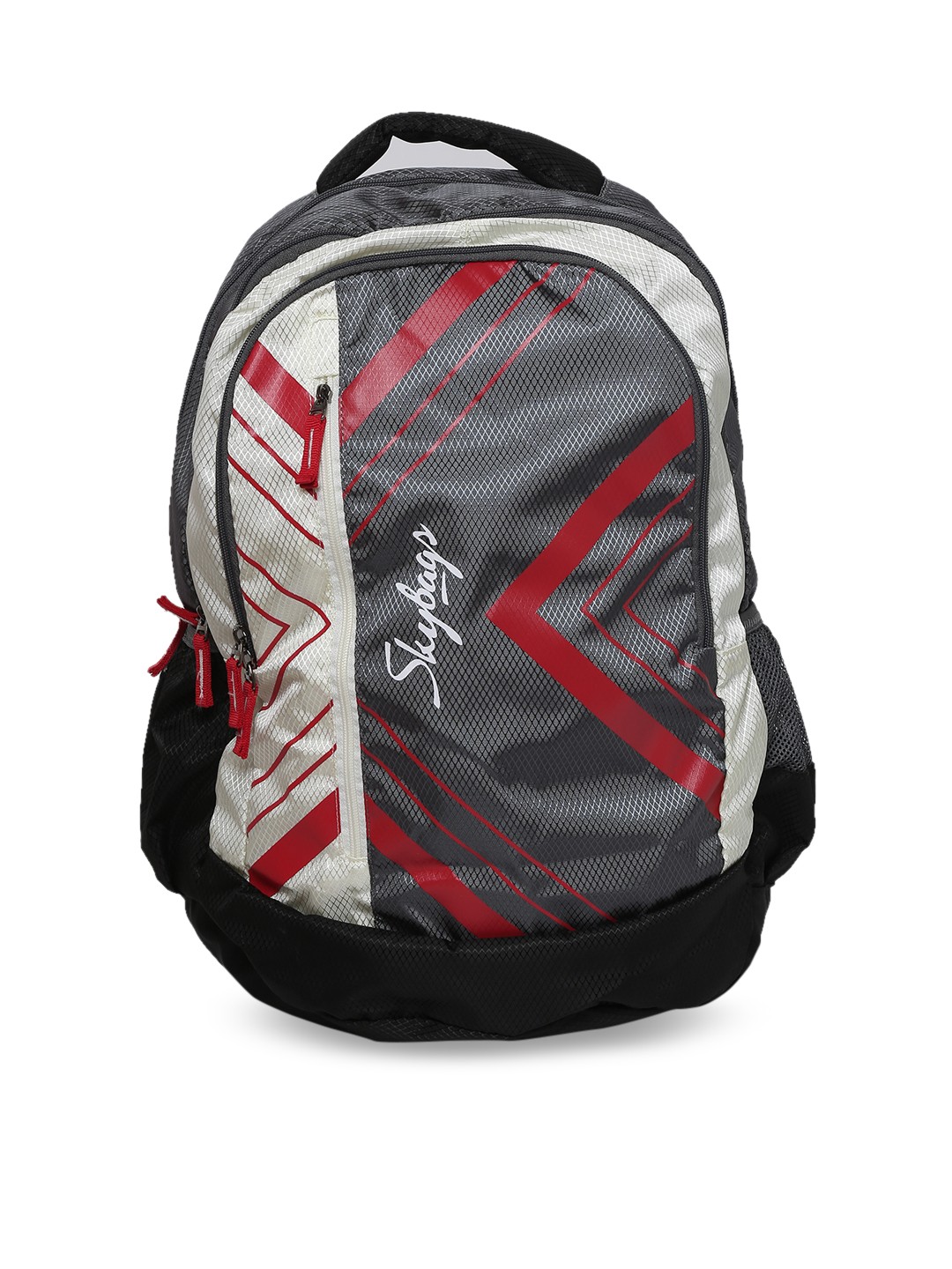 

Skybags Unisex Grey Backpack