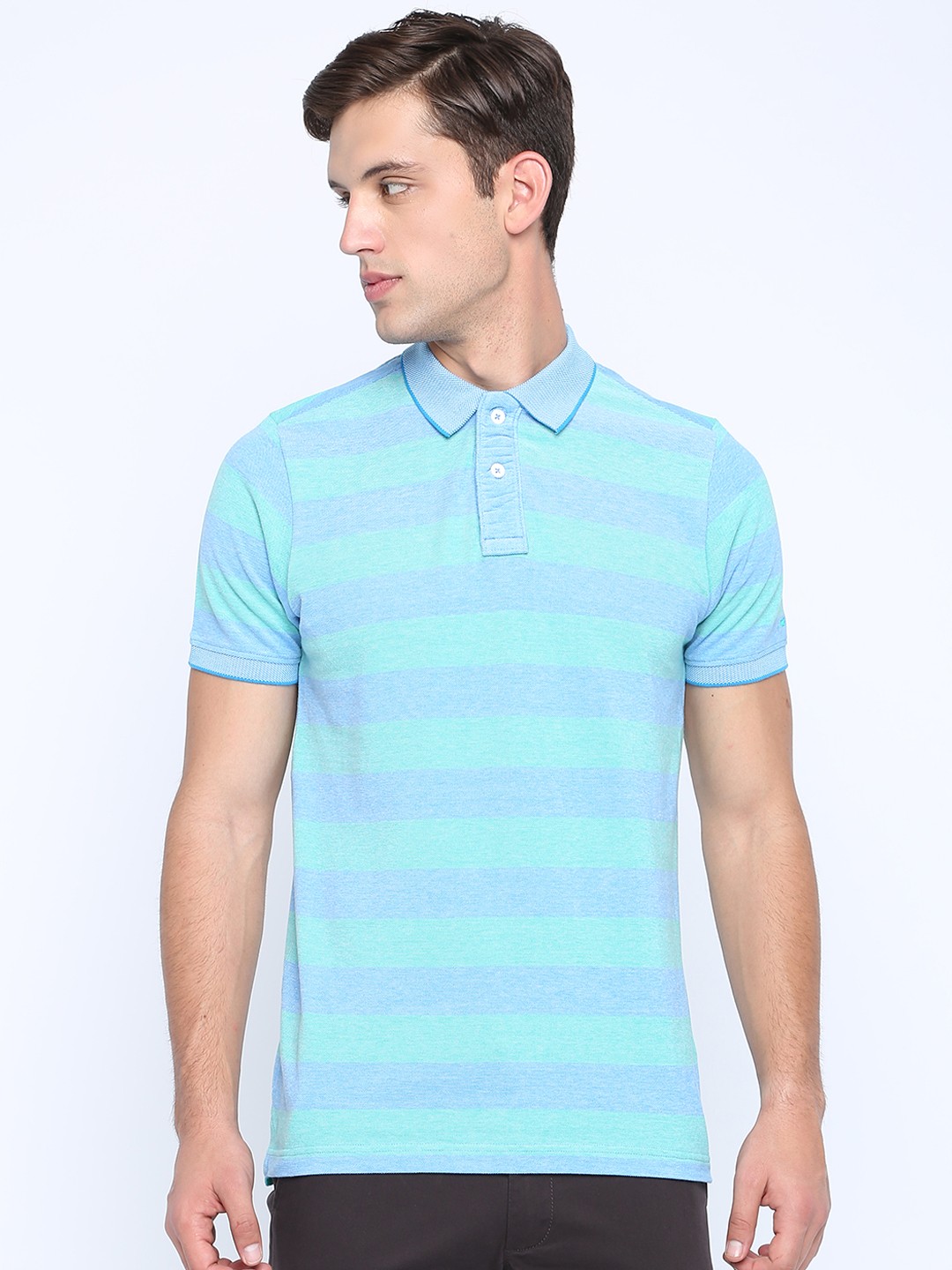

Basics Men Green Blue Striped Polo Collar Pure Cotton T-shirt