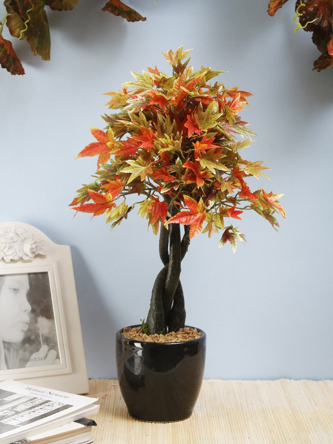 

Fourwalls Multicolour Artificial Japanese Maple Plant, Multi