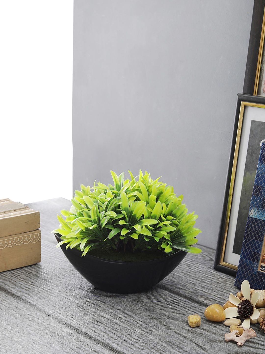 

FOLIYAJ Green & Black Artificial Plant