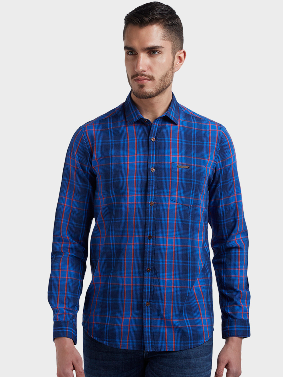 

ColorPlus Men Blue Regular Fit Checked Casual Shirt