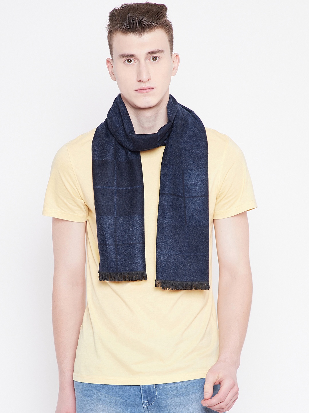 

Alvaro Castagnino Men Navy Blue Checked Mufflers