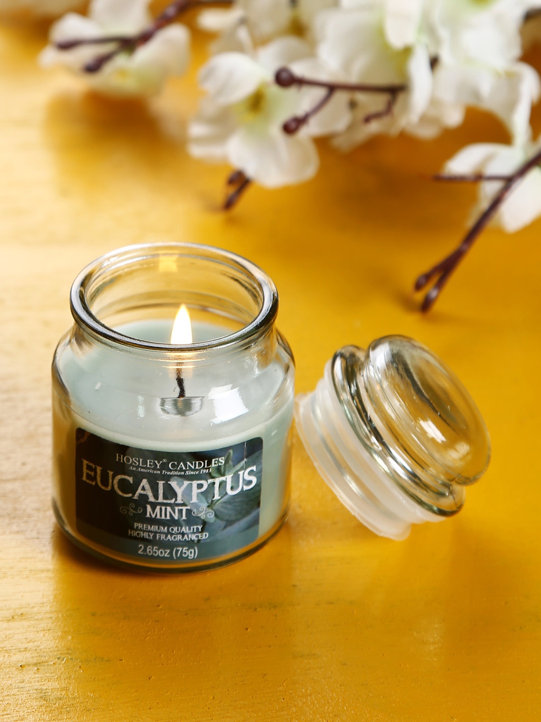 

HOSLEY Green Eucalyptus Mint Scented Jar Candle