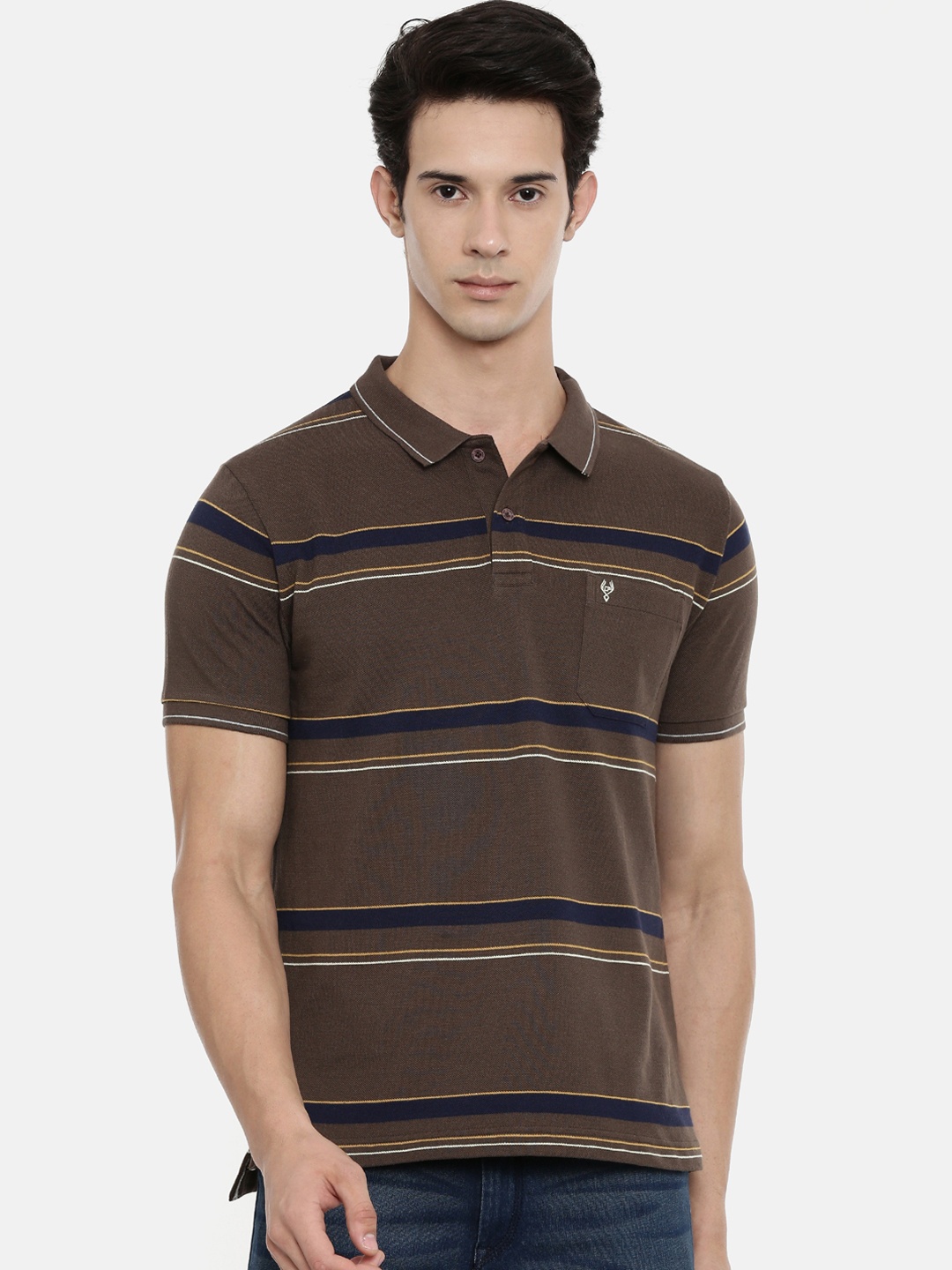 Classic Polo Men Brown Striped Polo Collar T-shirt