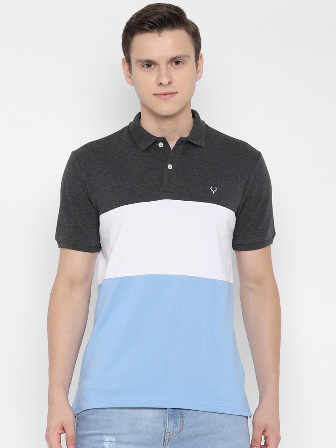 Allen Solly Men Blue Colourblocked Polo Collar Pure Cotton T-shirt