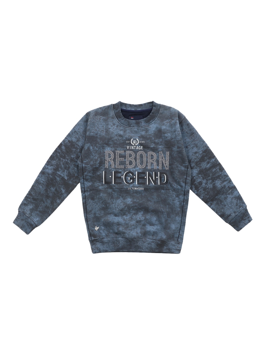 

Lil Tomatoes Boys Blue & Grey Printed Sweatshirt
