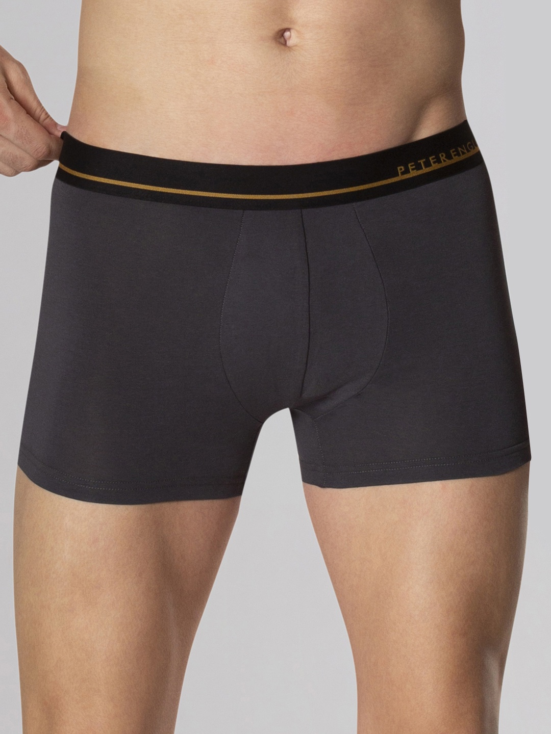 

Peter England Men Pack of 2 Solid Trunks PIWTBKGY9296024, Grey