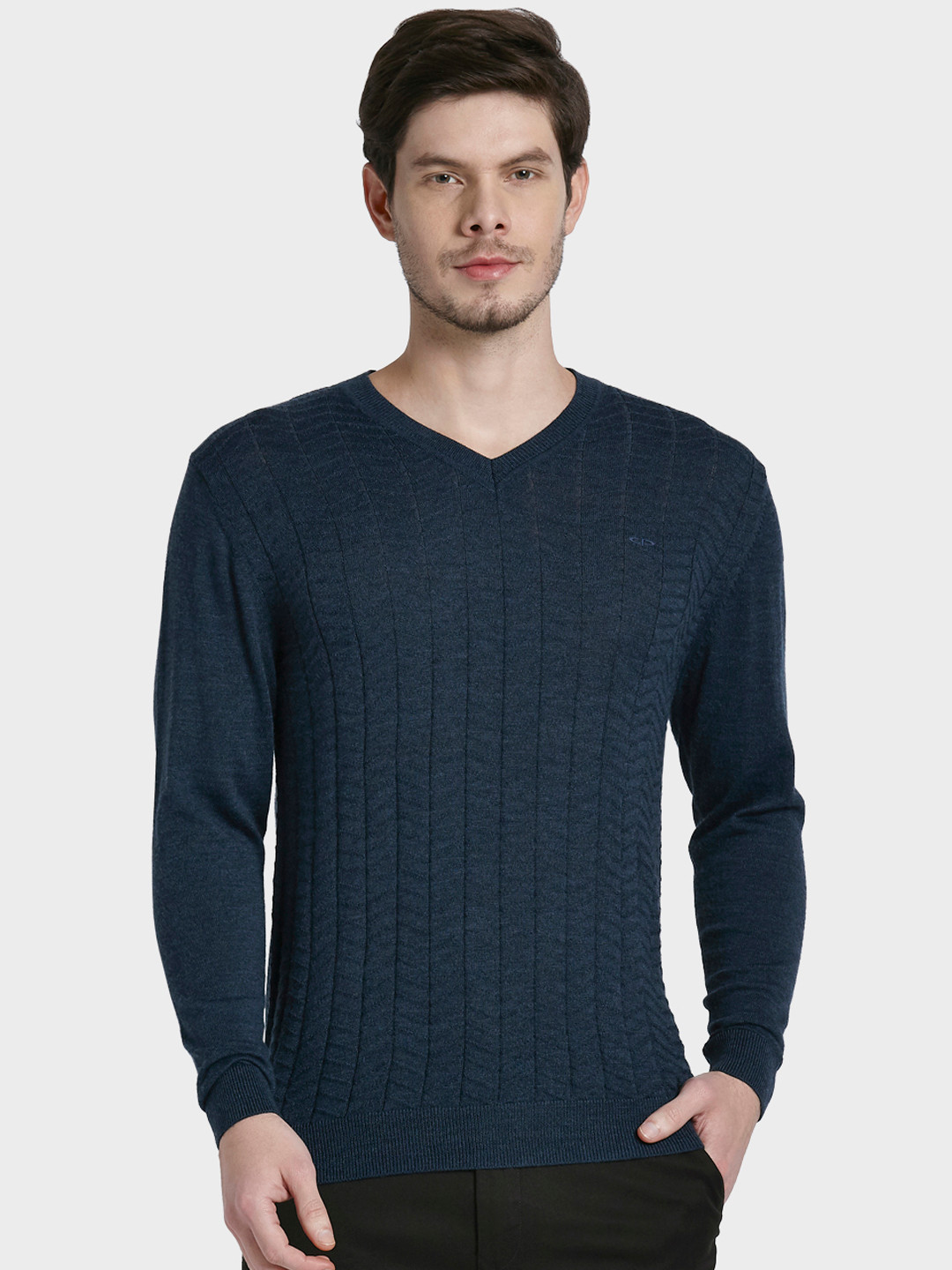 

ColorPlus Men Blue Solid Sweater
