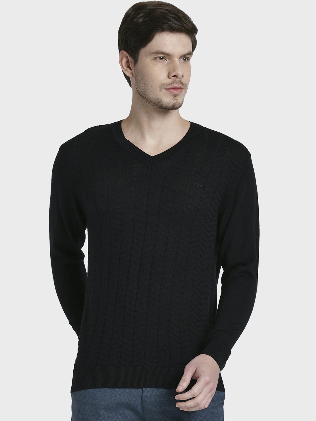 

ColorPlus Men Black Solid Sweater