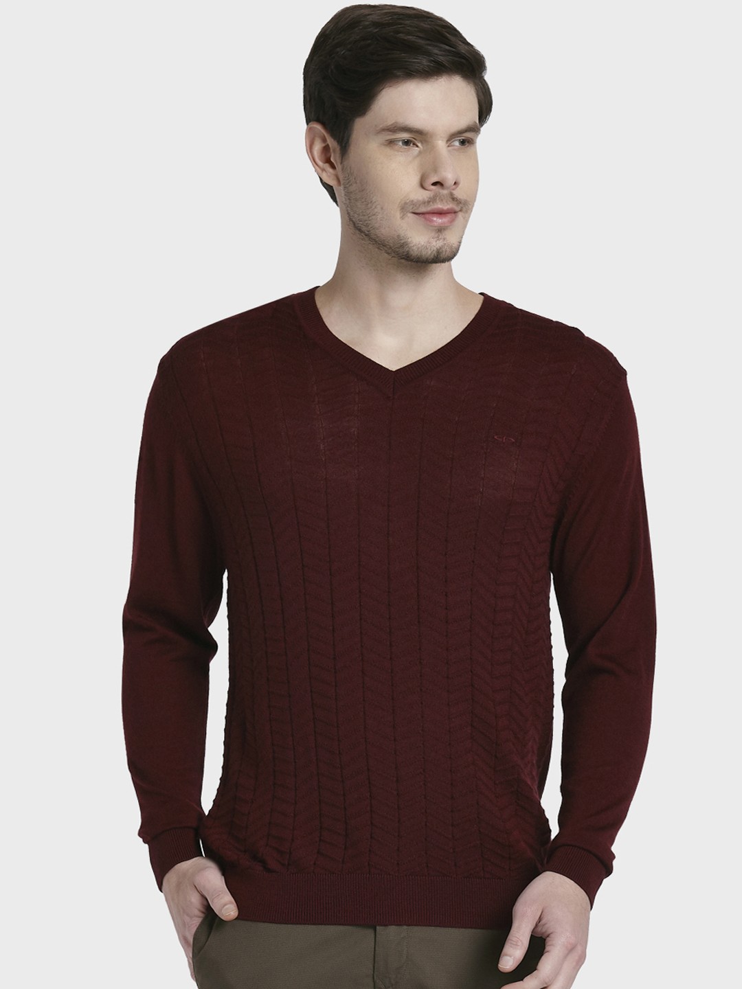 

ColorPlus Men Maroon Solid Sweater