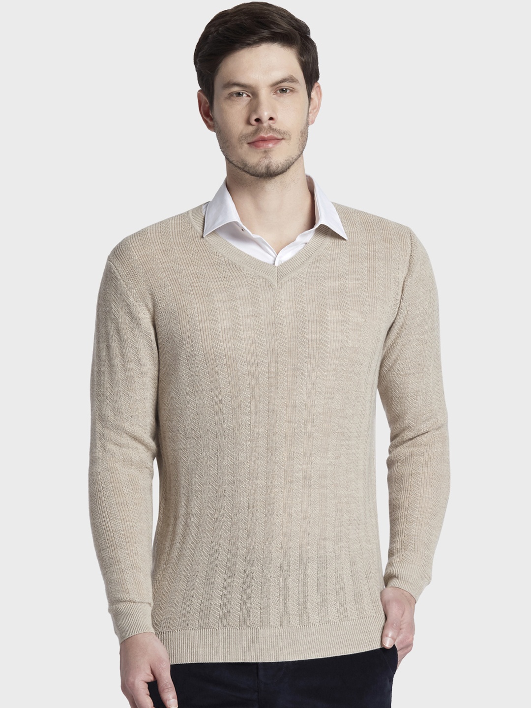 

ColorPlus Men Beige Self Design Sweater