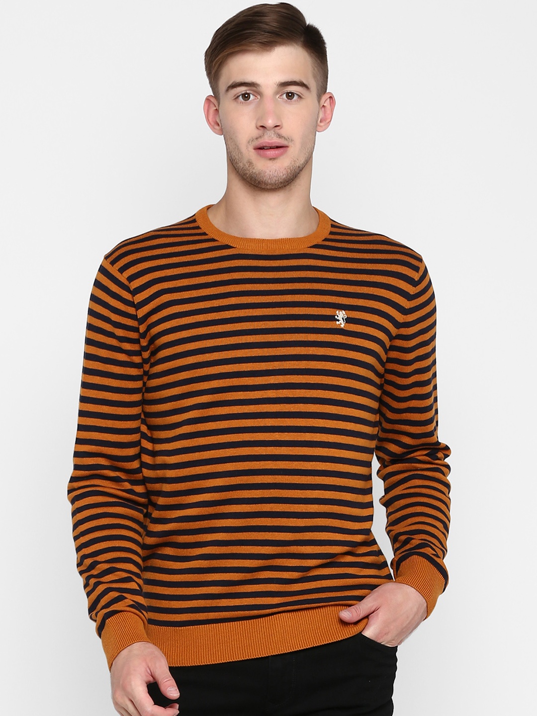 

Red Tape Men Mustard & Navy Blue Solid Sweater