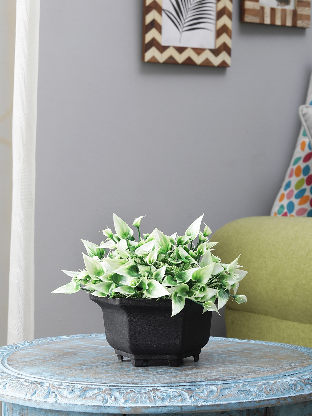 

FOLIYAJ Green & White Artificial Plant With Black Pot