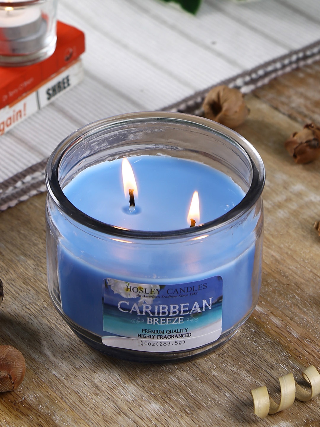 

HOSLEY Blue Caribbean Breeze Highly Fragranced Candle 283.5 g