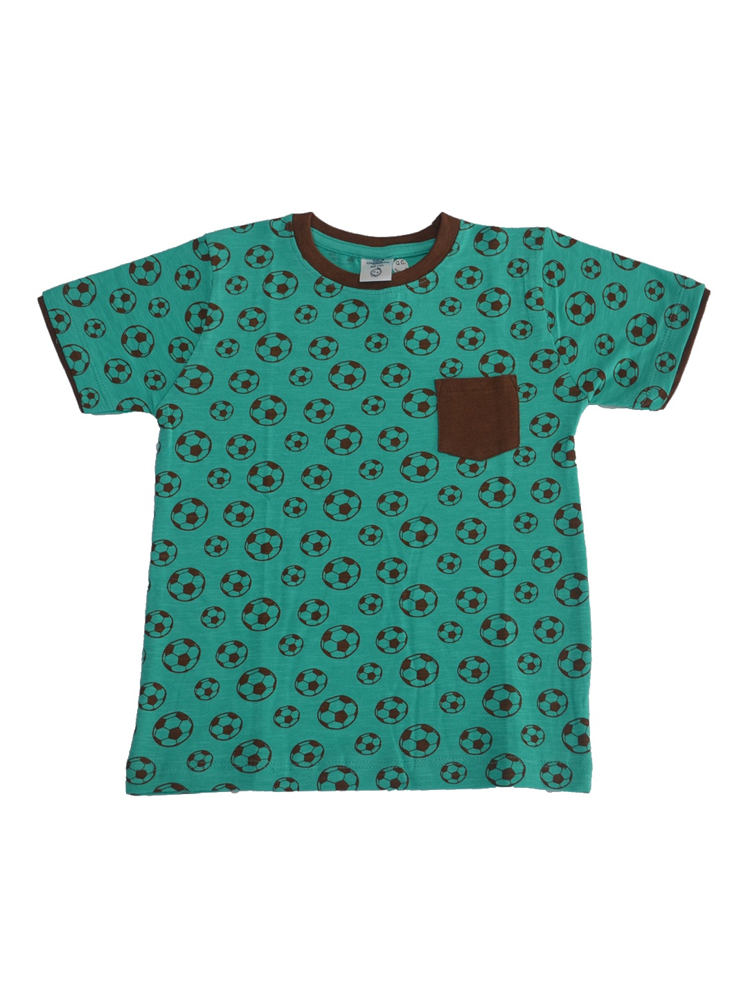 Dollar Champion Kidswear Boys Green & Brown Printed Round Neck T-shirt