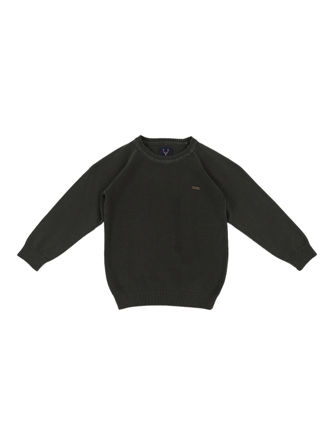 

Allen Solly Junior Boys Olive Green Solid Sweater