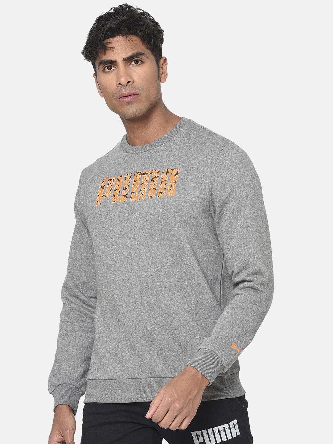 

Puma Men Grey Graphic Crew IX Printed Sweatshirt