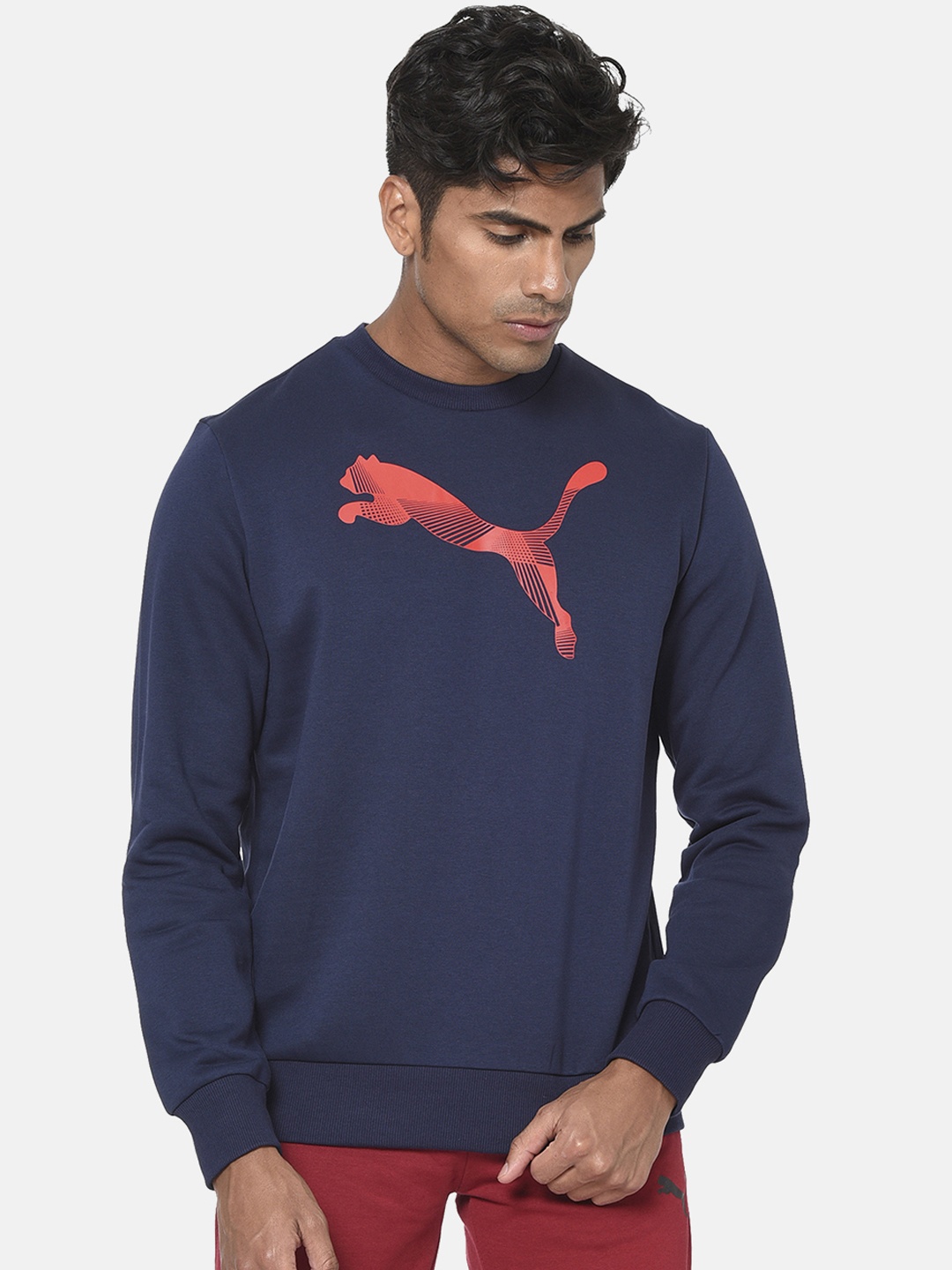 

Puma Men Navy Blue Printed Graphic Crew Sweatshirt