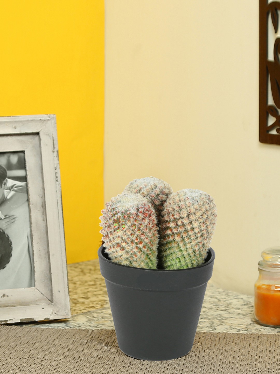 

Aapno Rajasthan Green & White Plastic Artificial Plant with Pot