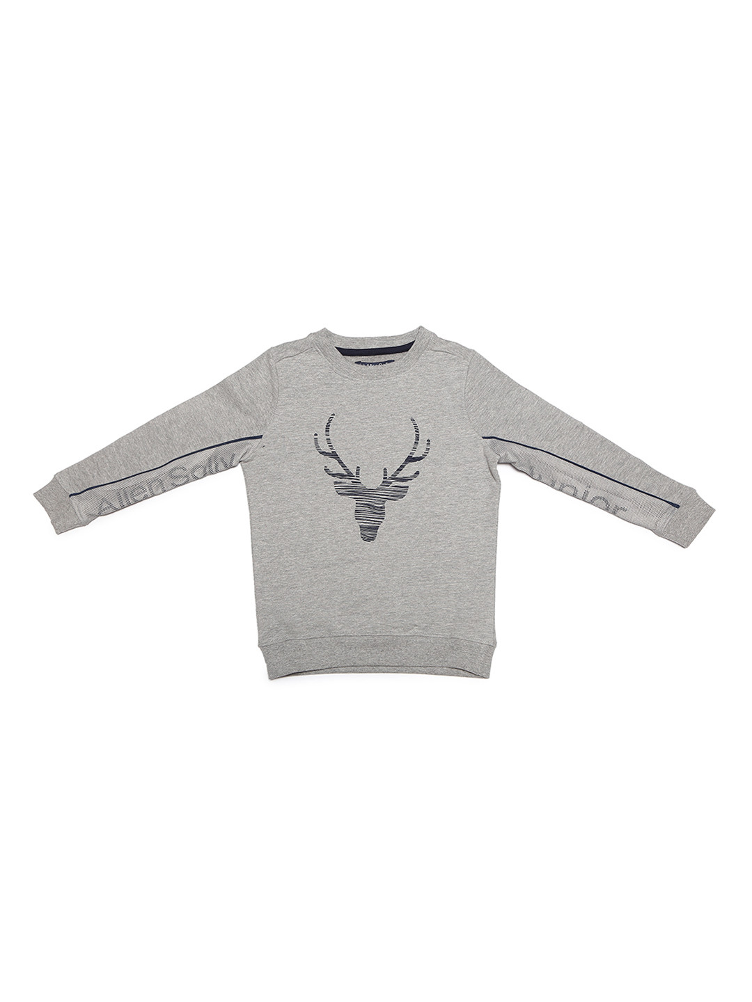 

Allen Solly Junior Boys Grey Printed Sweatshirt