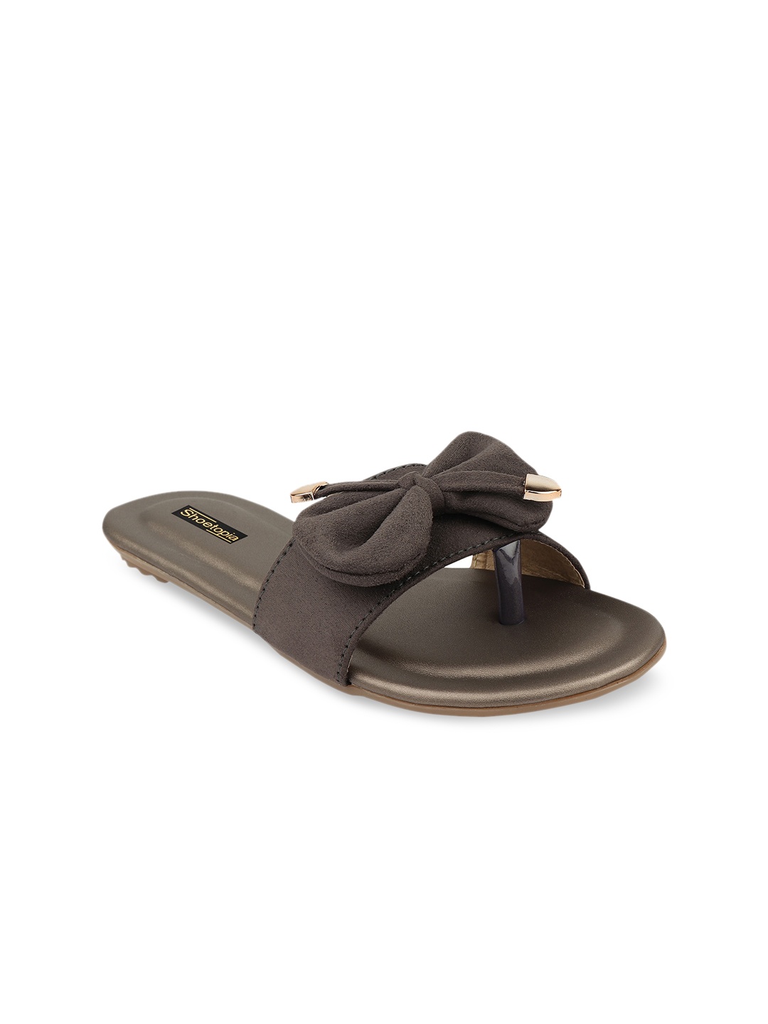 

Shoetopia Women Taupe Solid Open Toe Flats