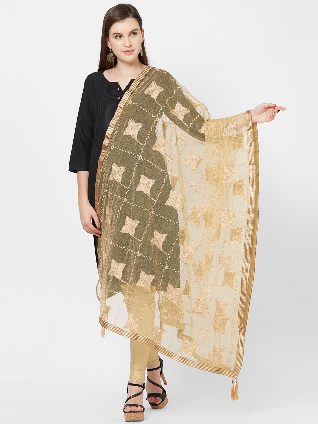 

Dupatta Bazaar Beige Embroidered Dupatta