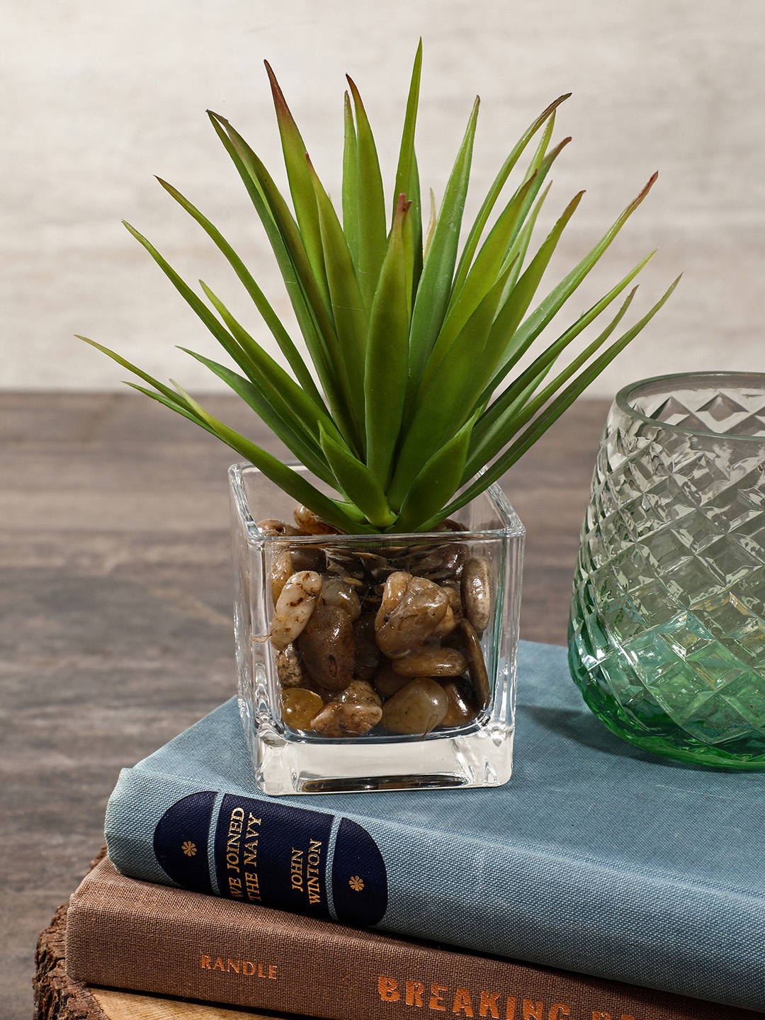 

Pure Home and Living Green & Transparent Artificial Plant with Pot