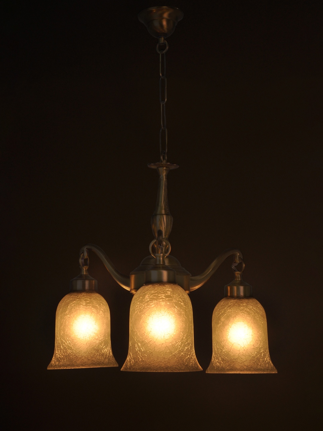 

Fos Lighting Gold-Toned & White Self Design Cluster Lights