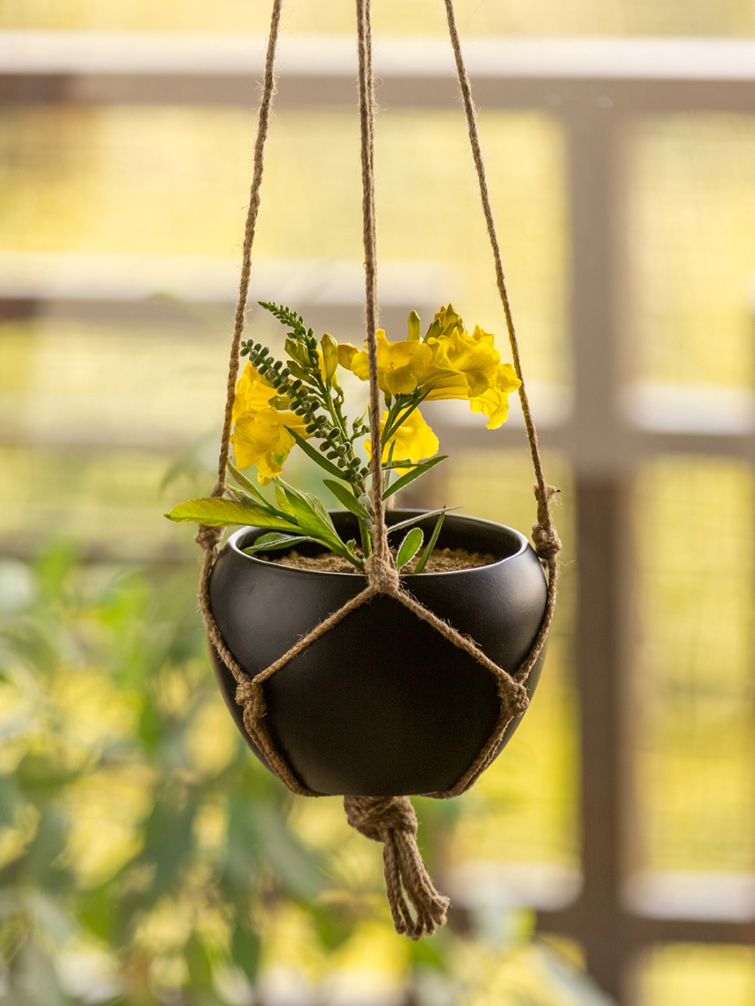 

ExclusiveLane Black Goblet Solid Hanging Planters Pots With Jute