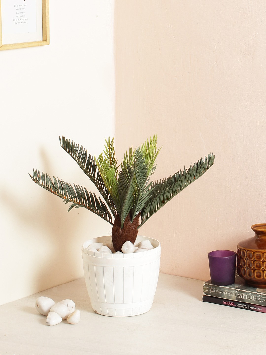 

Fourwalls Green Natural Cycus Plant