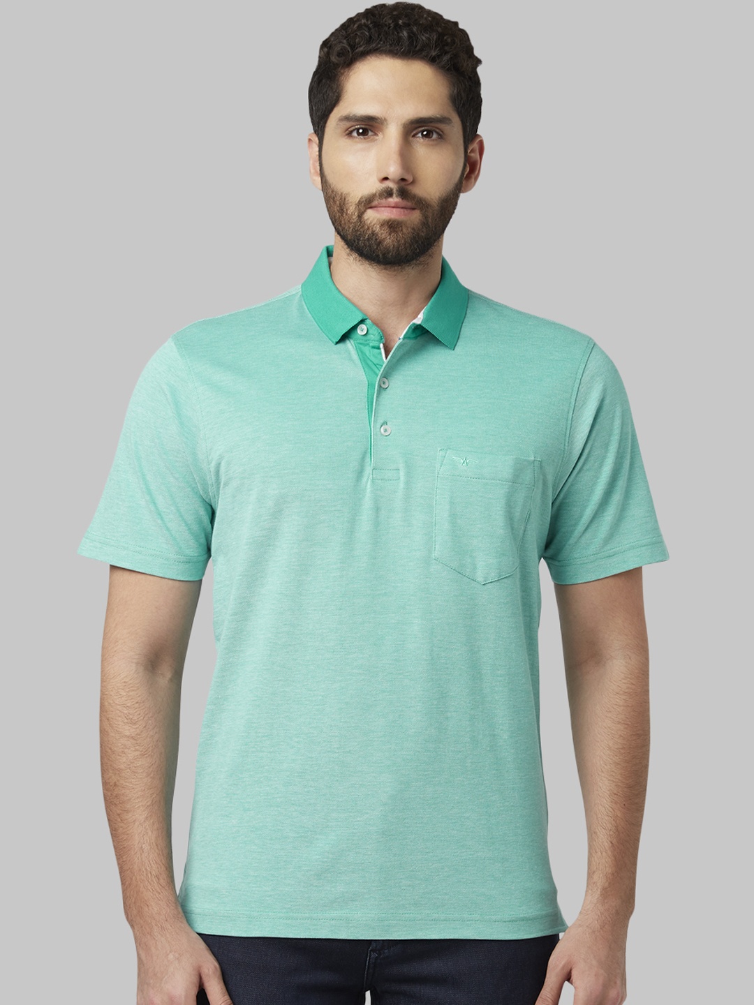 

Park Avenue Men Green Solid Polo Collar T-shirt
