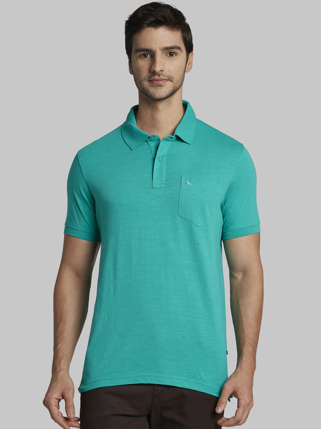 

Parx Men Green Solid Polo Collar T-shirt