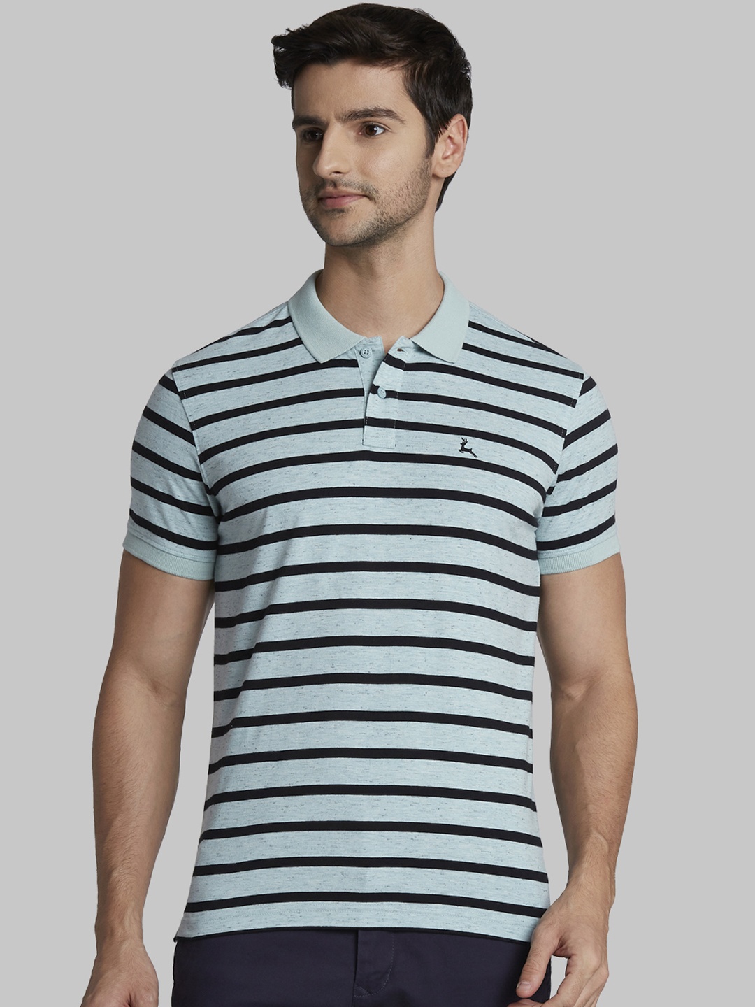 

Parx Men Blue Striped Polo Collar T-shirt